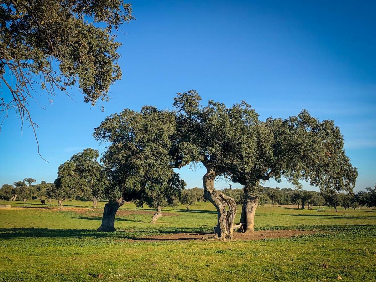 La Hermandad De Villalba Villalba de los Barros エクステリア 写真