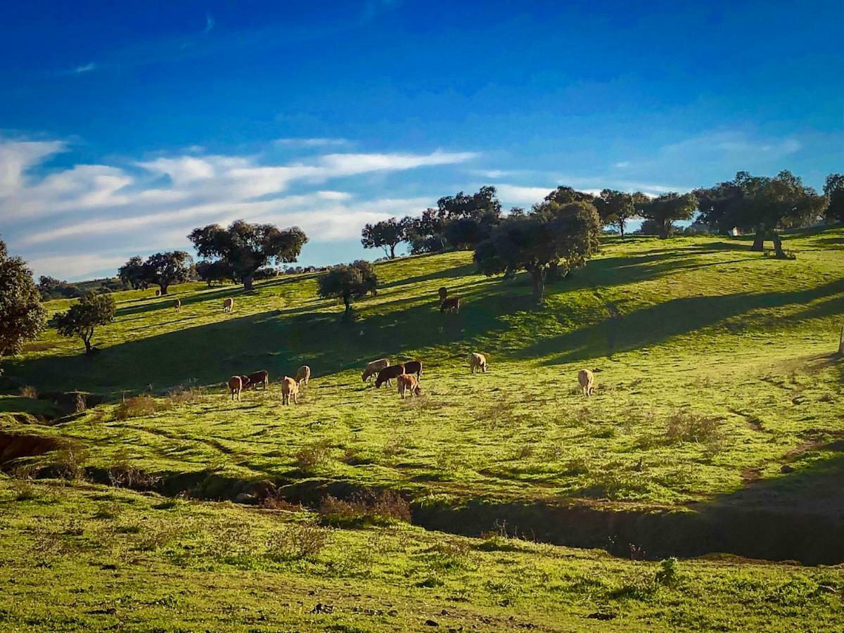 La Hermandad De Villalba Villalba de los Barros エクステリア 写真