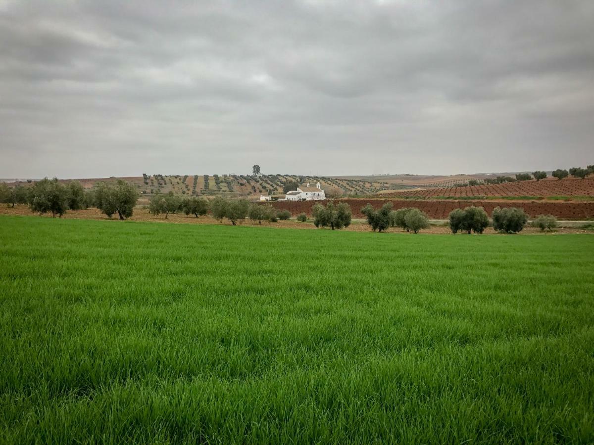 La Hermandad De Villalba Villalba de los Barros エクステリア 写真